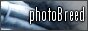 photobreed stock - yes, this is intentionally funny sized this way